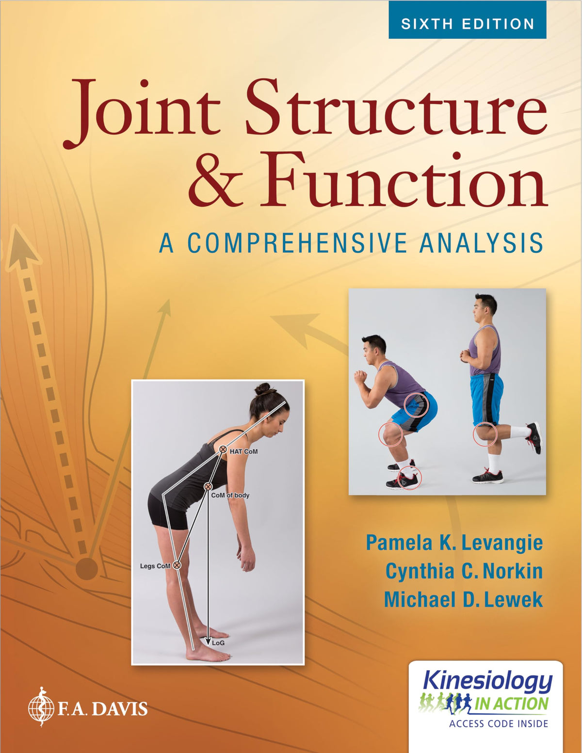 Joint Structure and Function: A Comprehensive Analysis