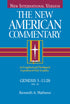 The New American Commentary — used book cover