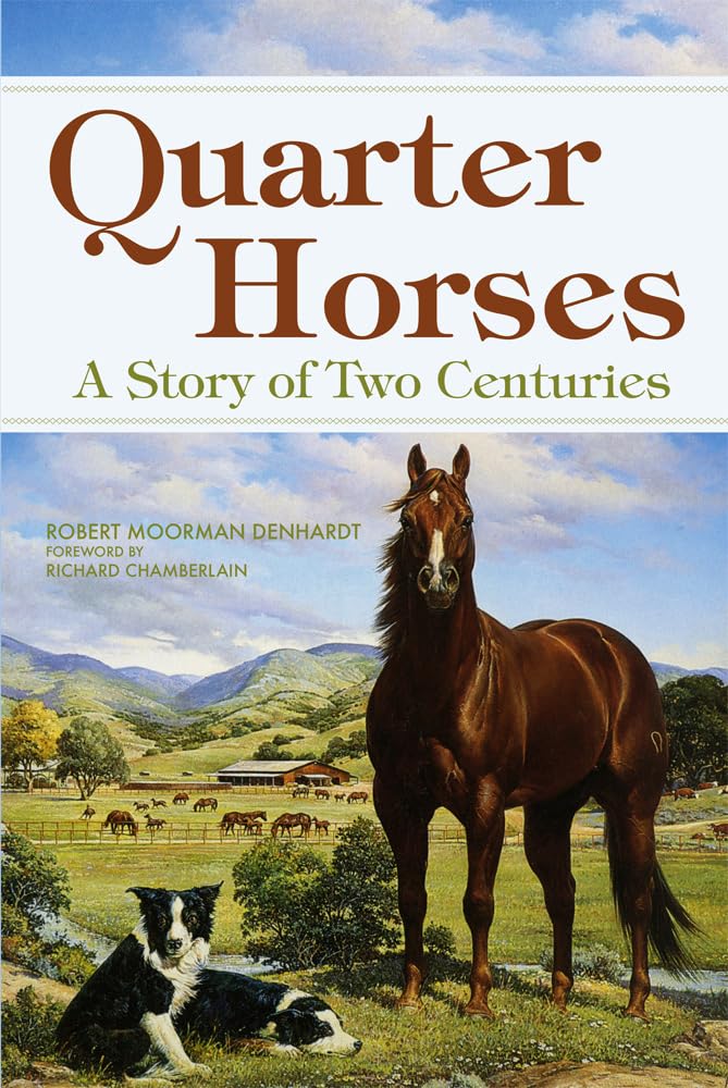 Quarter Horses — used book cover
