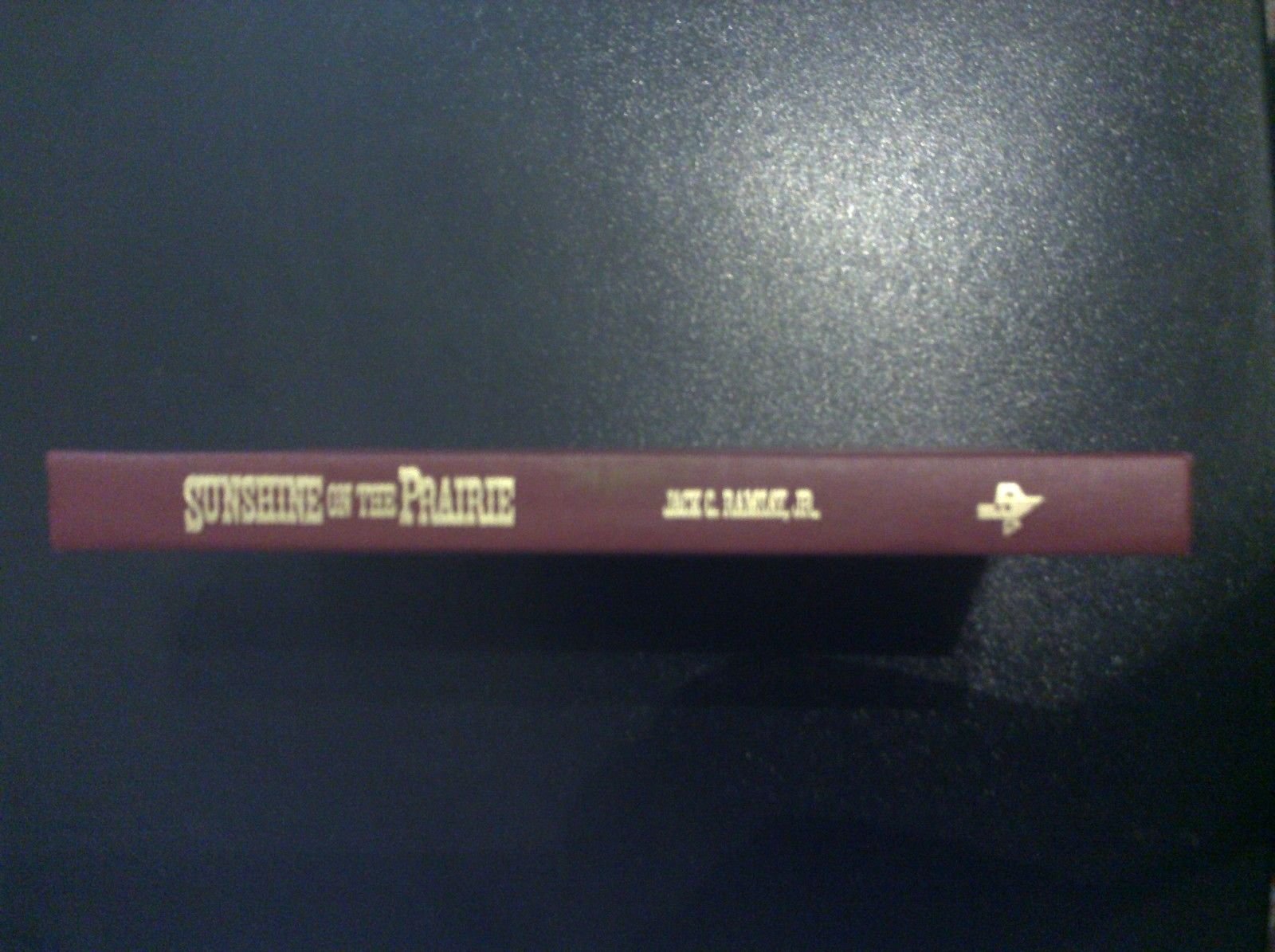 Sunshine on the Prairie: The Story of Cynthia Ann Parker