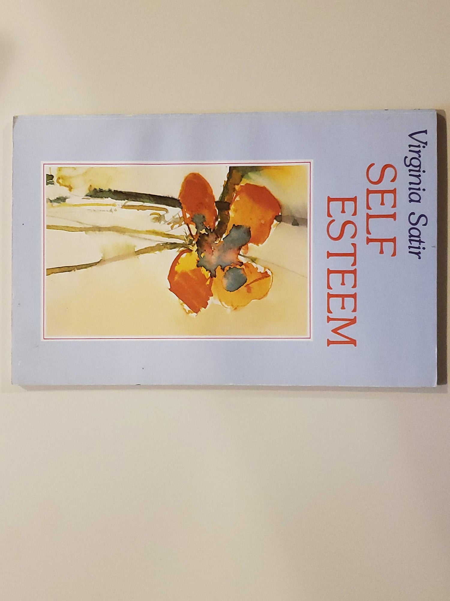 Self-Esteem — used book cover