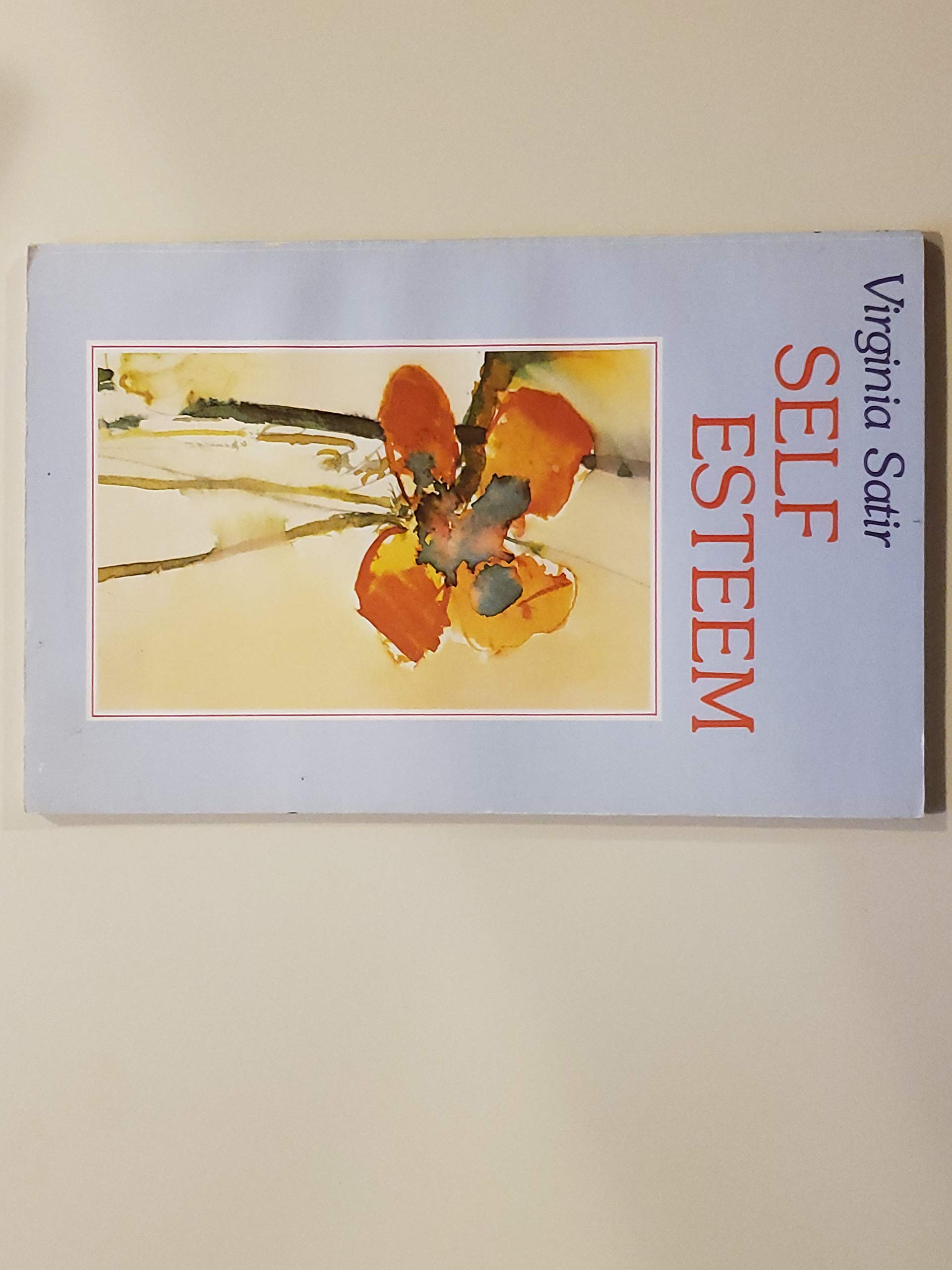 Self-Esteem — used book cover