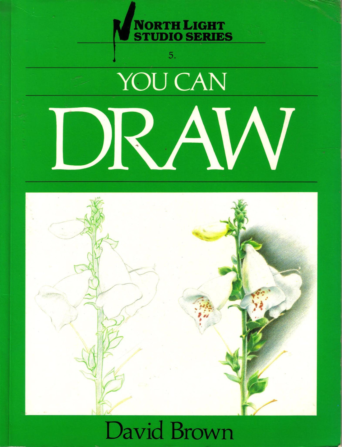 You Can Draw (North Light Studio Series)