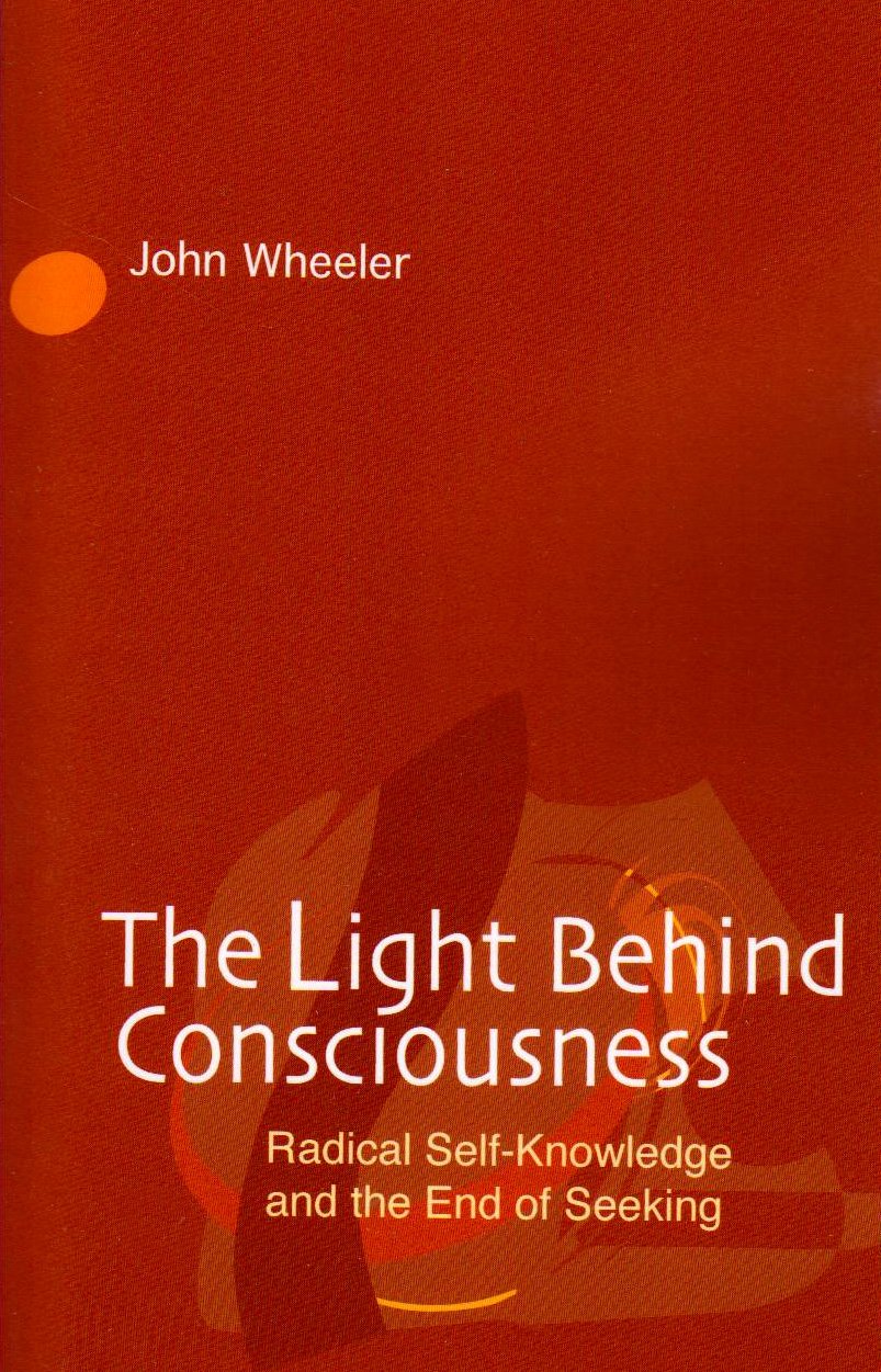 The Light Behind Consciousness — used book cover