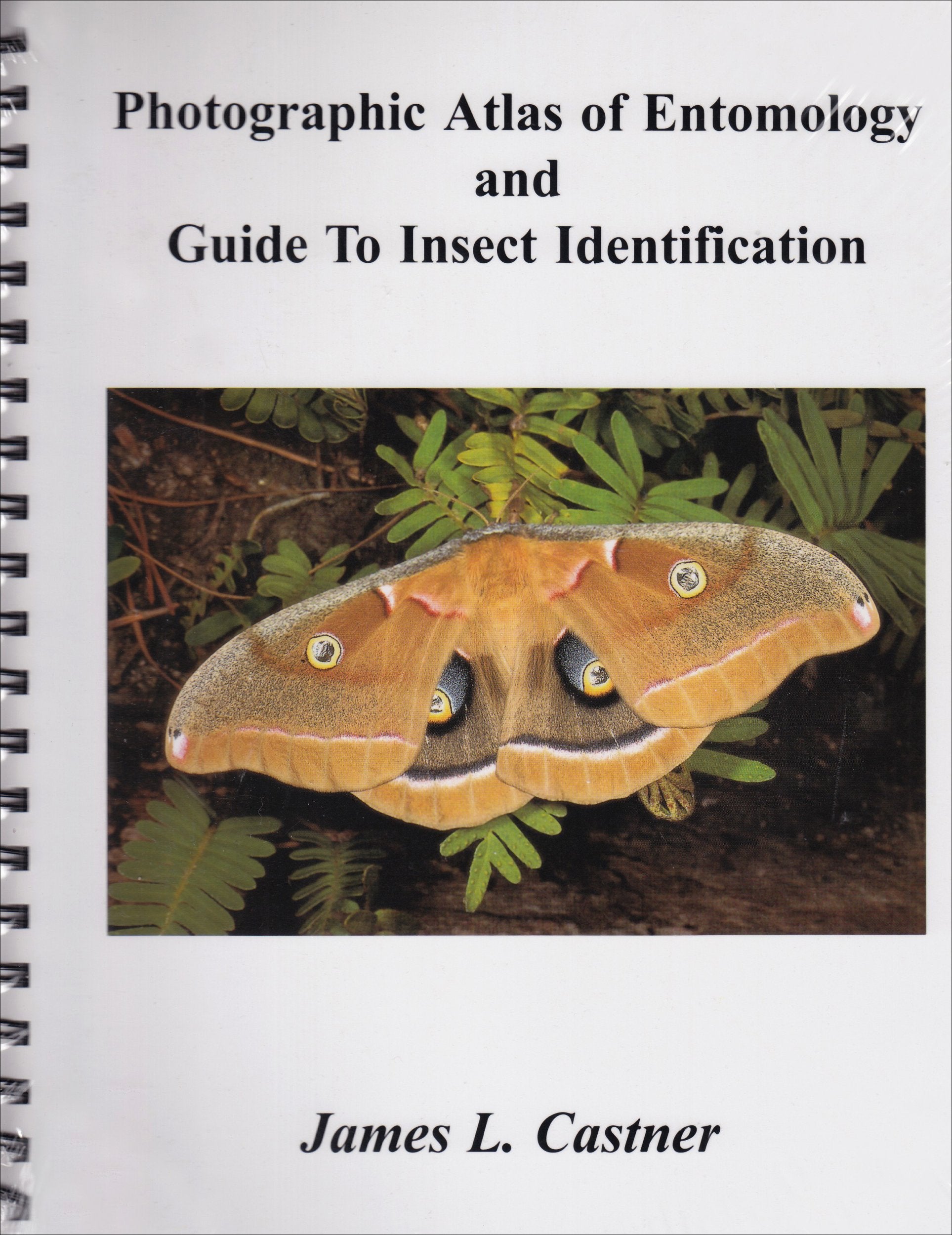 Photographic Atlas of Entomology &amp; Guide to Insect Identification