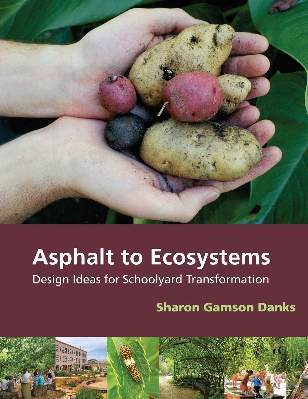 Asphalt to Ecosystems: Design Ideas for Schoolyard Transformation