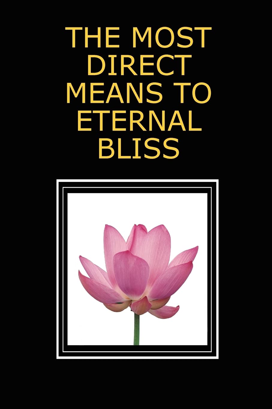 The Most Direct Means to Eternal Bliss — used book cover