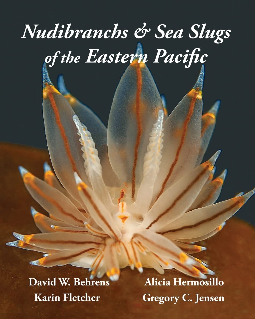 Nudibranchs &amp; Sea Slugs of the Eastern Pacific — used book cover