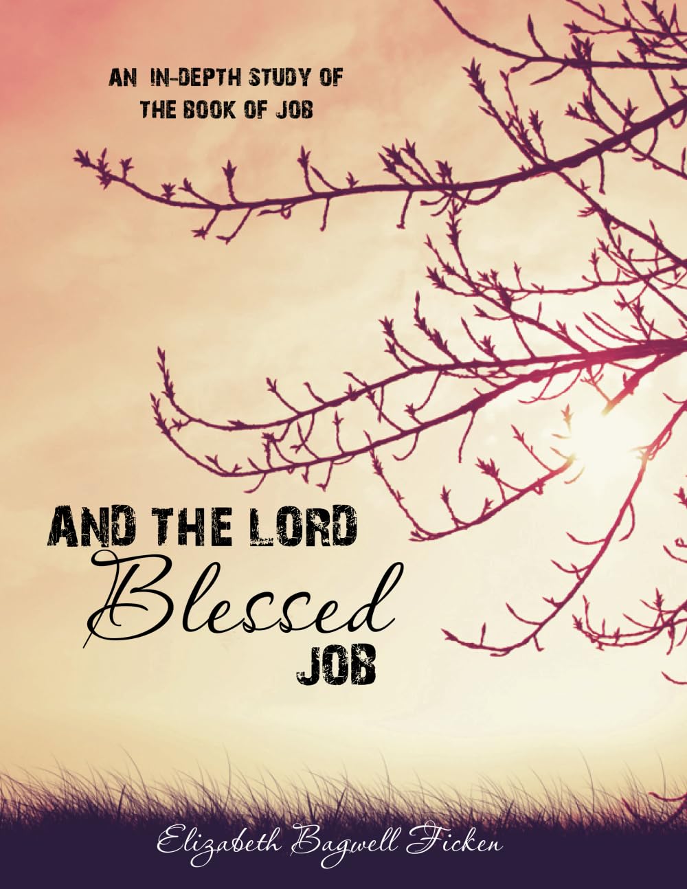 And the Lord Blessed Job — used book cover
