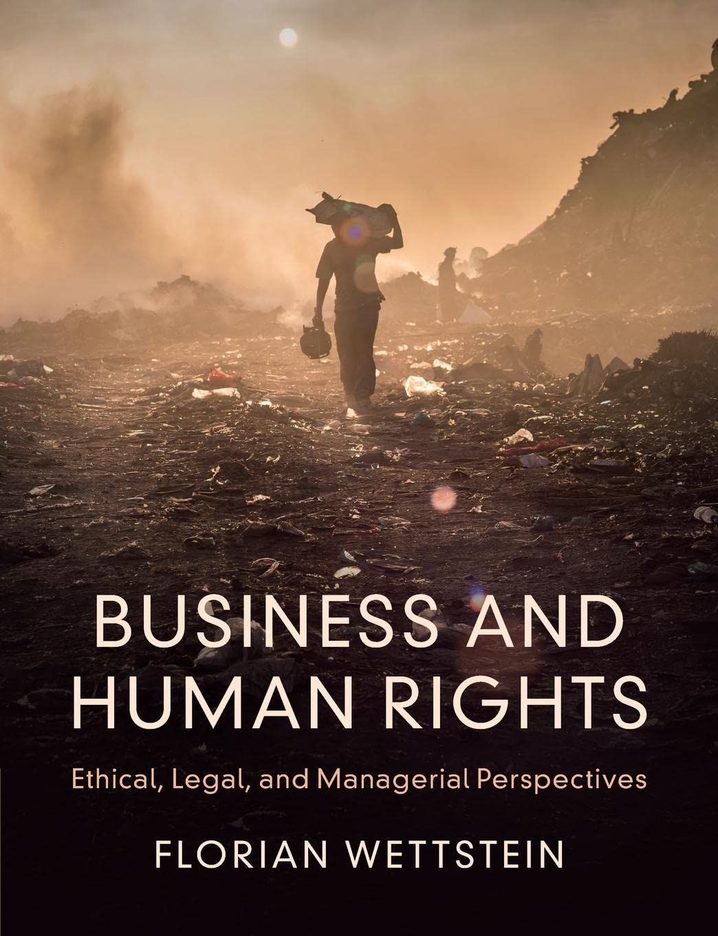 Business and Human Rights — used book cover