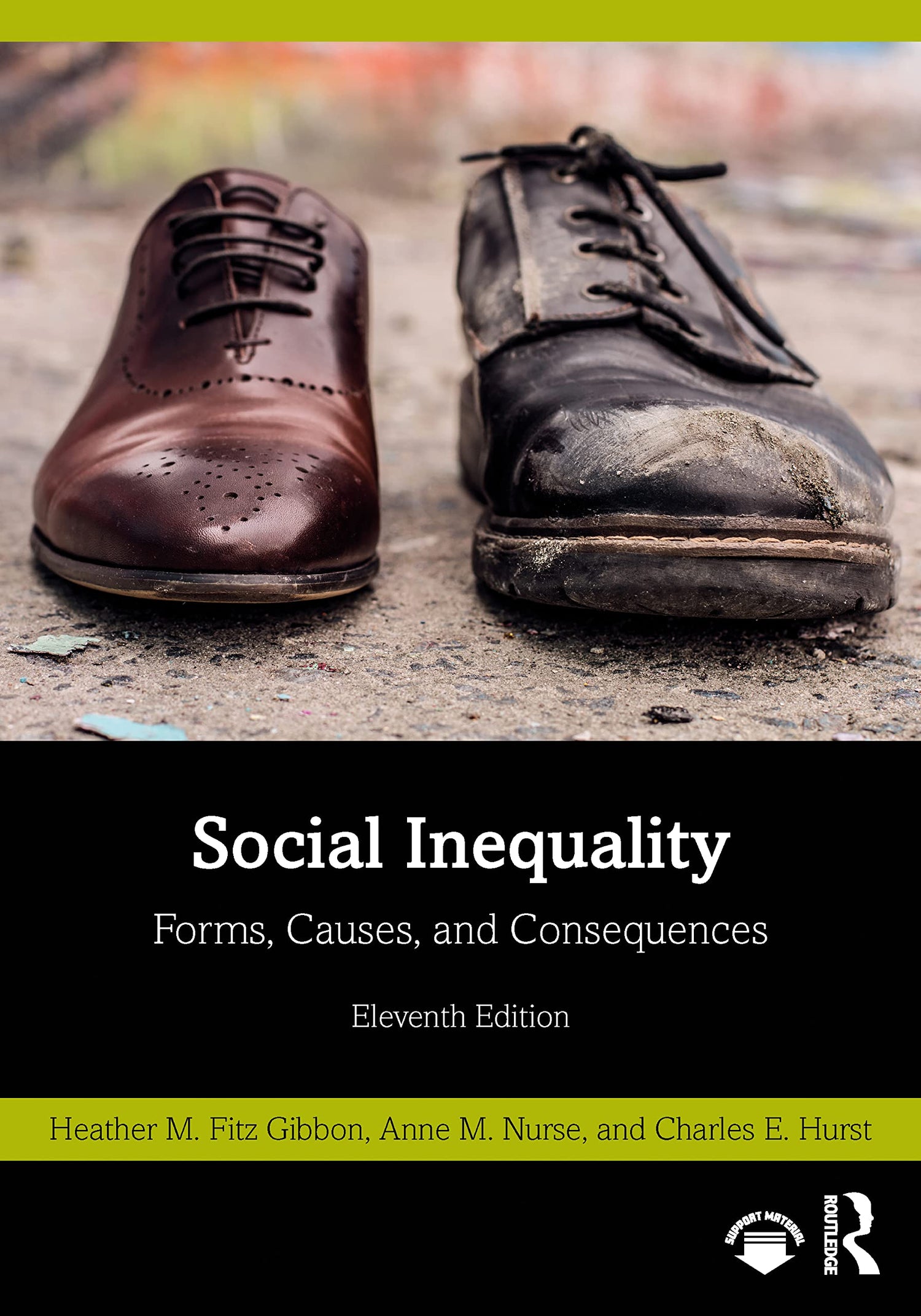 Social Inequality — used book cover