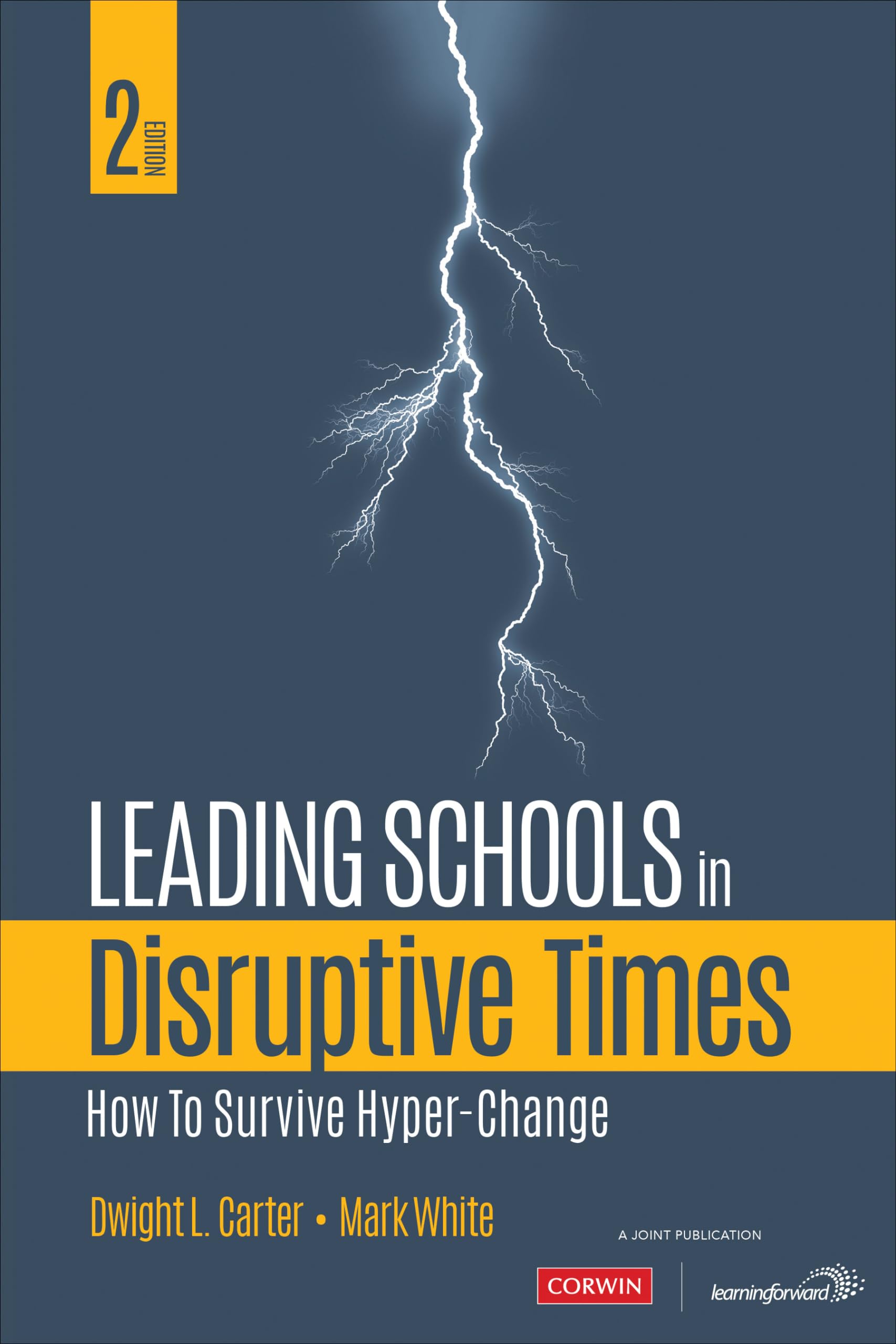 Leading Schools in Disruptive Times — used book cover