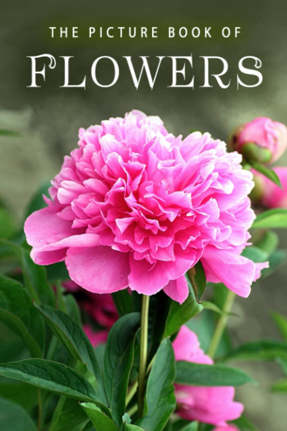 The Picture Book of Flowers: A Gift Book for Alzheimer&