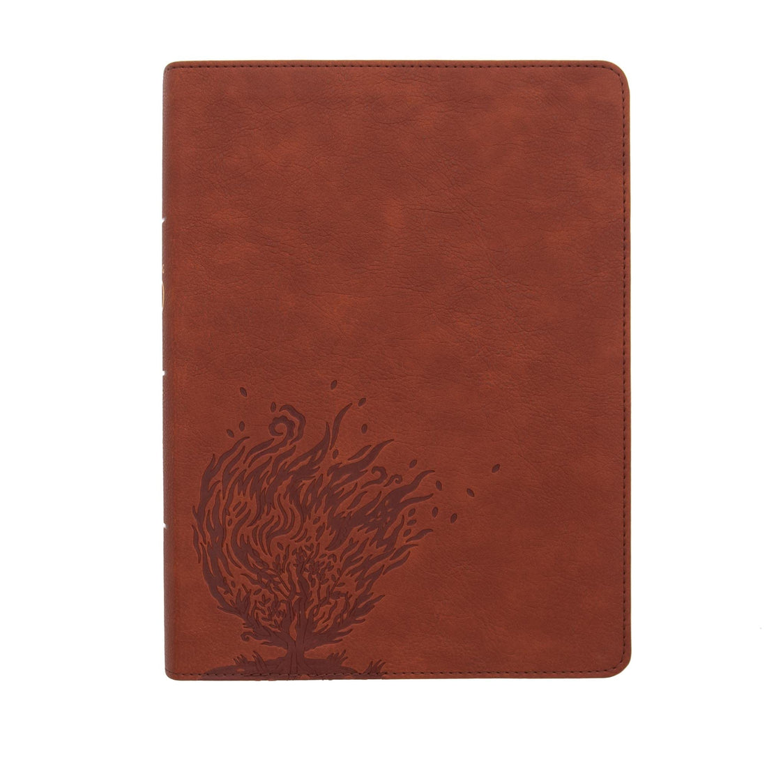 CSB Experiencing God Bible, Burnt Sienna LeatherTouch, Indexed, Full-Color Design, Articles, Character Profiles, Chapter Questions, Key Verse Icons, Full-Color Maps, Easy-to-Read Bible Serif Type