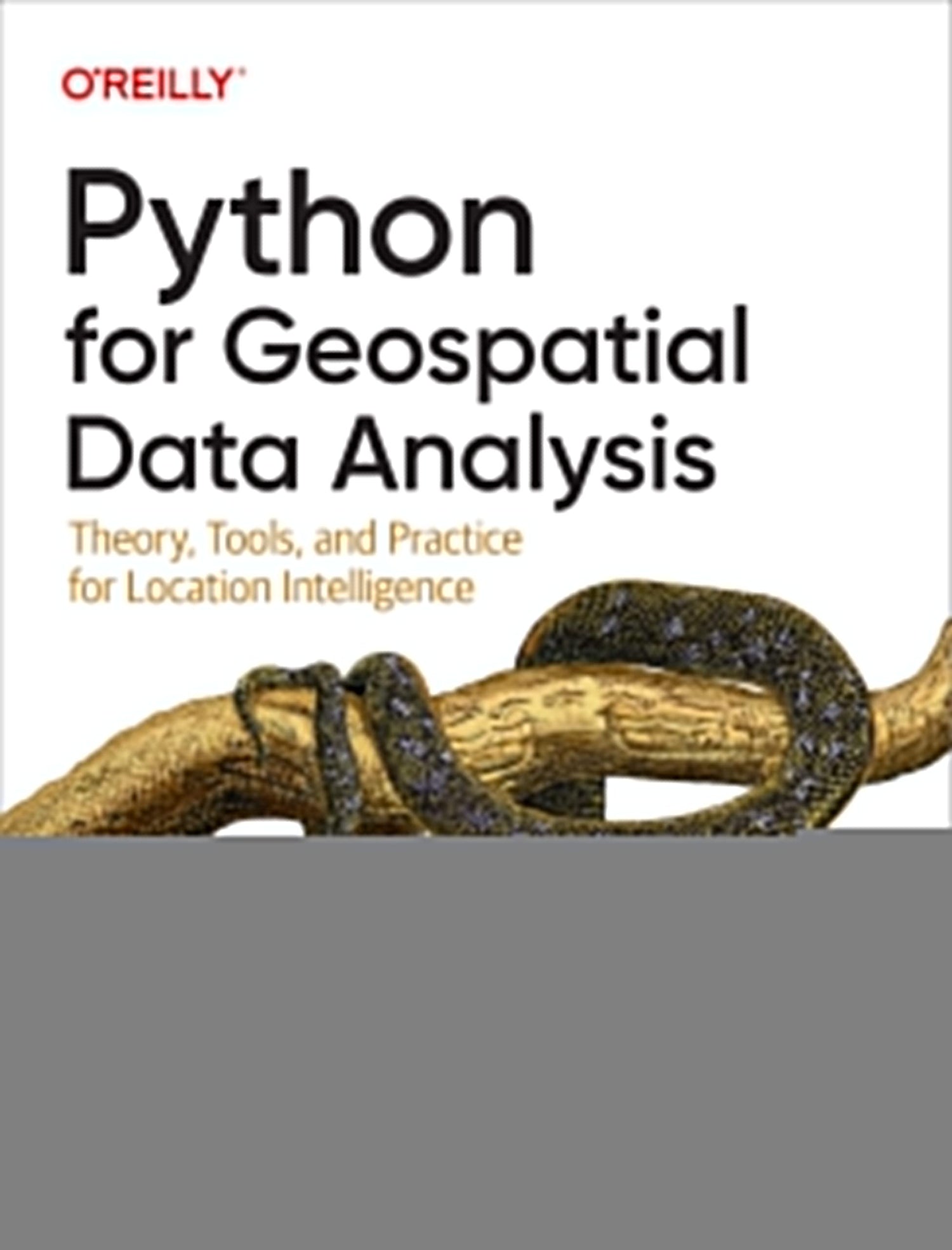 Python for Geospatial Data Analysis — used book cover