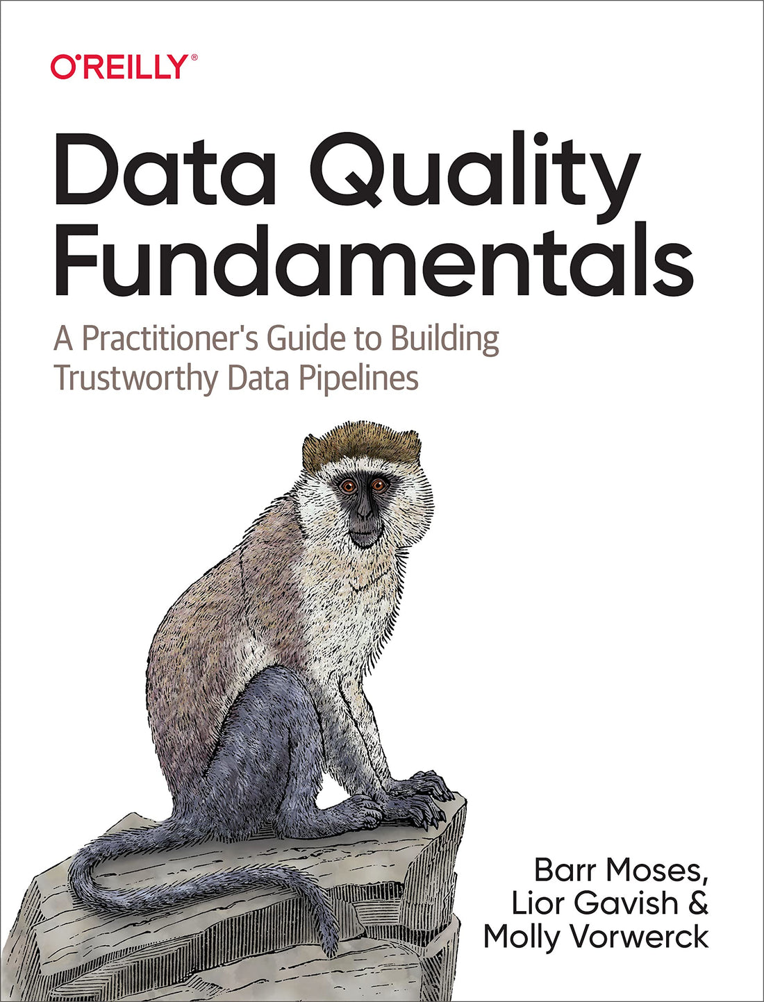 Data Quality Fundamentals: A Practitioner&