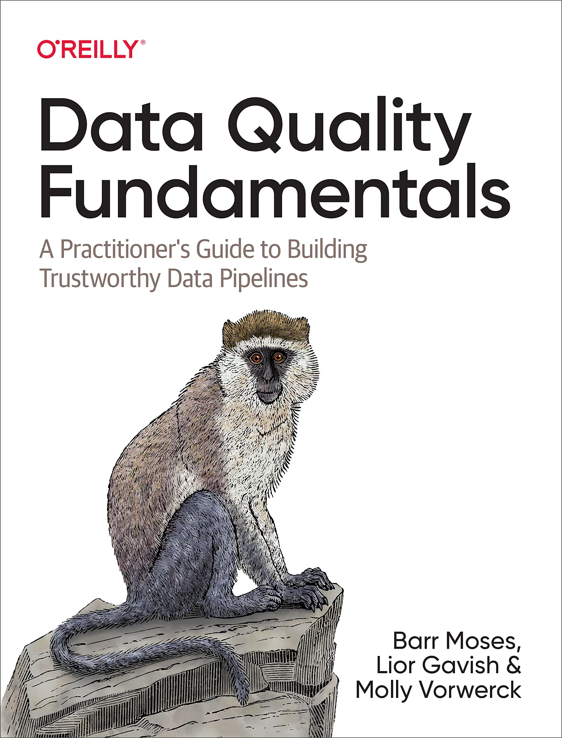Data Quality Fundamentals: A Practitioner&