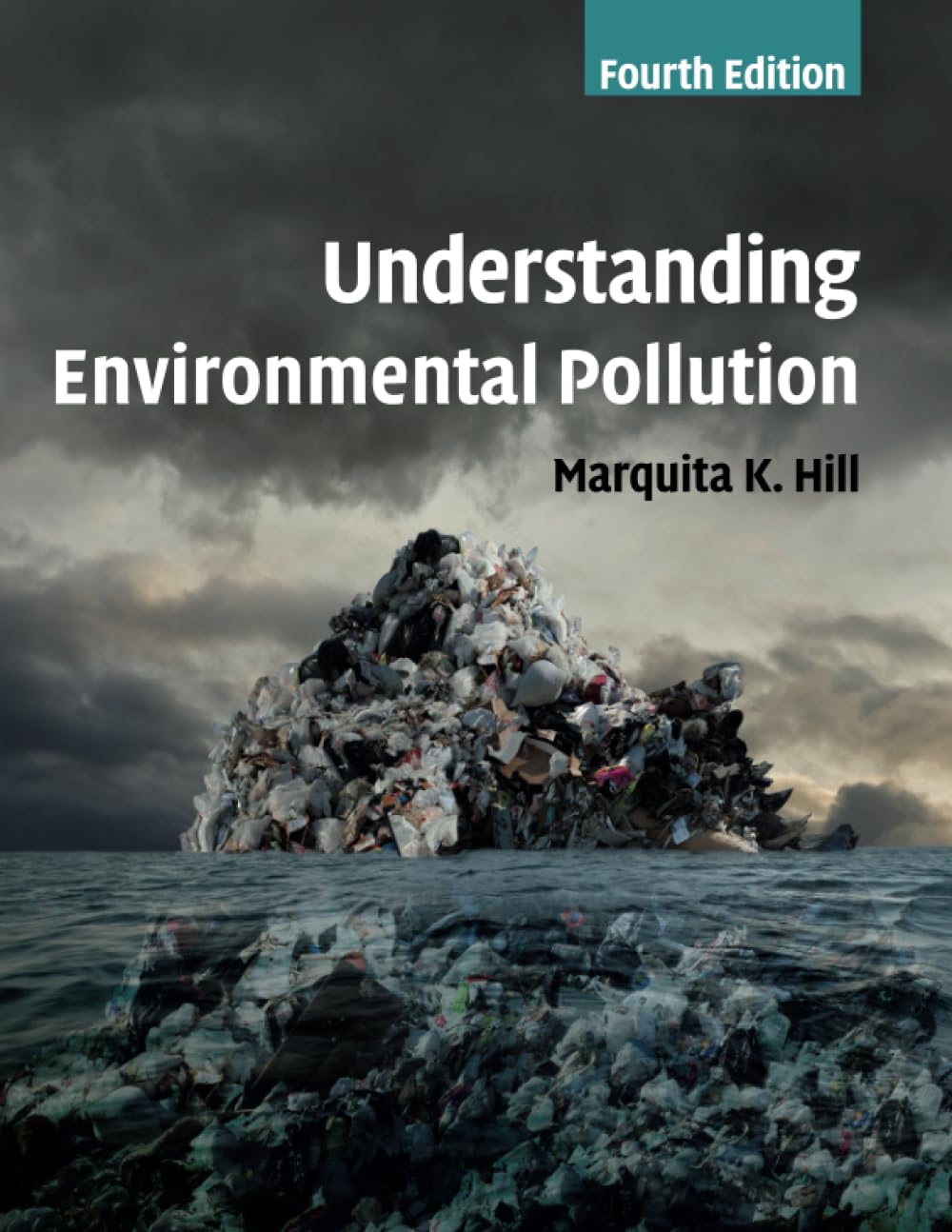 Understanding Environmental Pollution — used book cover