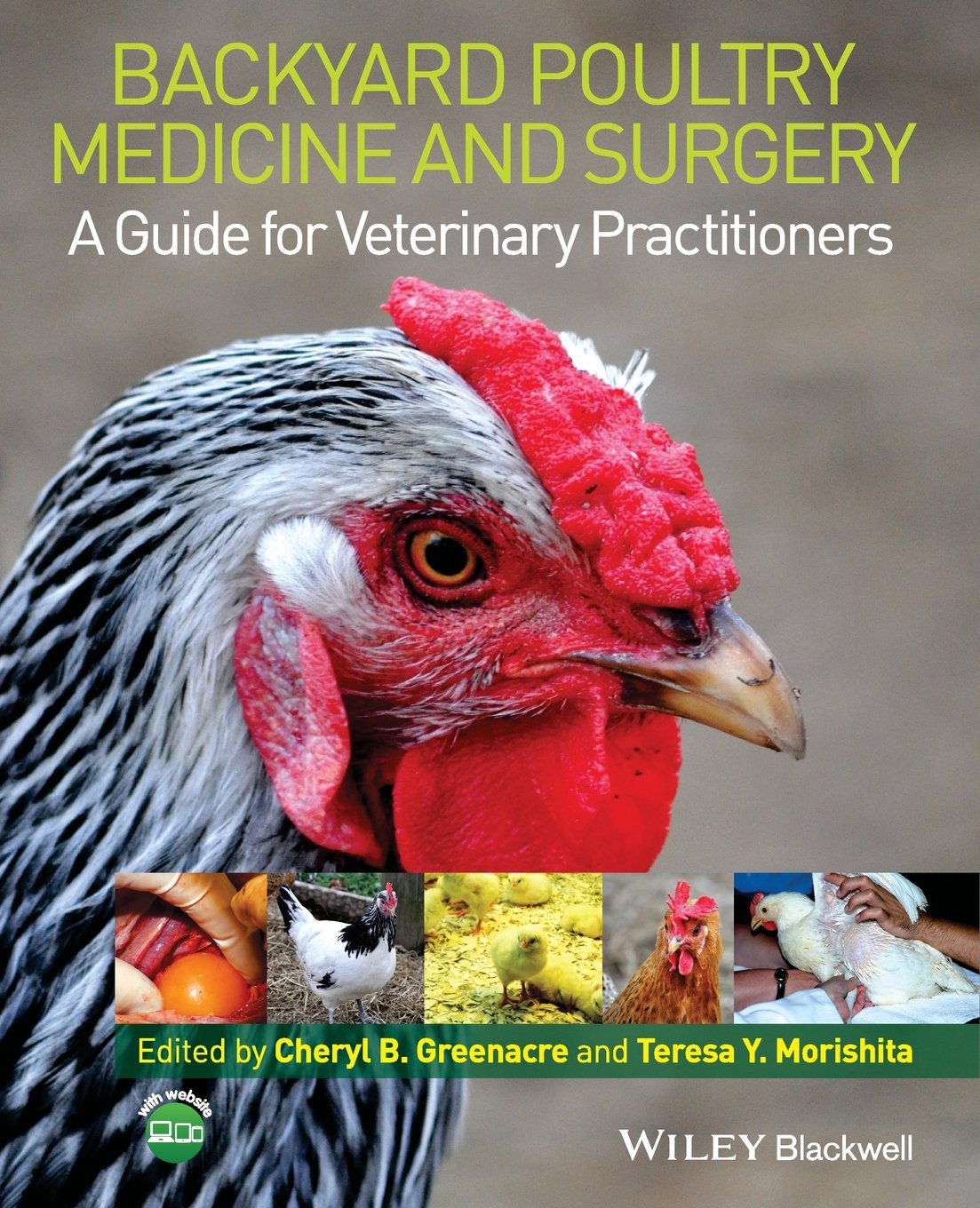 Backyard Poultry Medicine and Surgery — used book cover