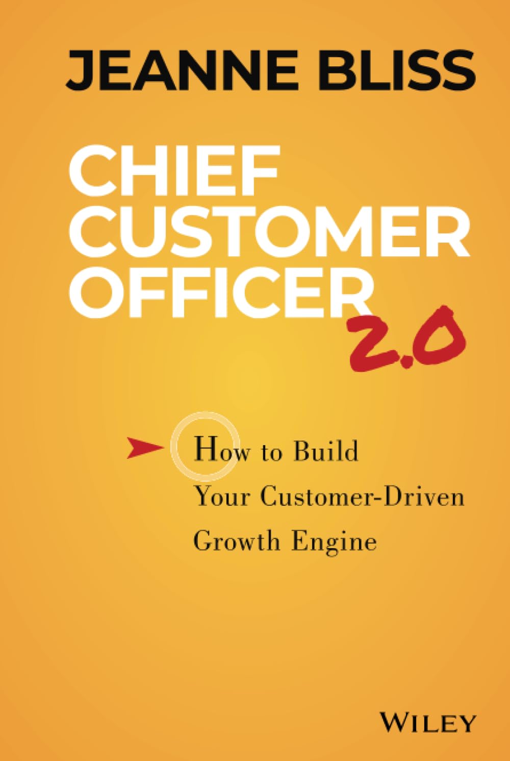 Chief Customer Officer 2.0 — used book cover