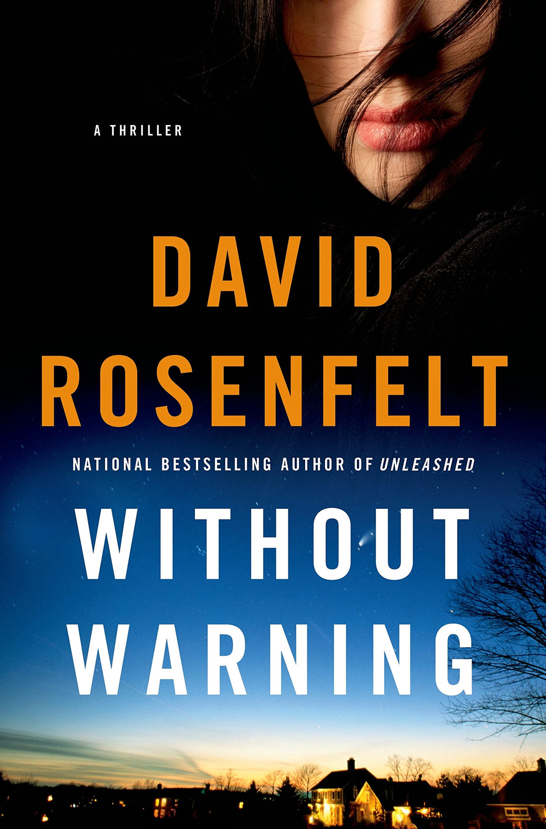 Without Warning: A Thriller