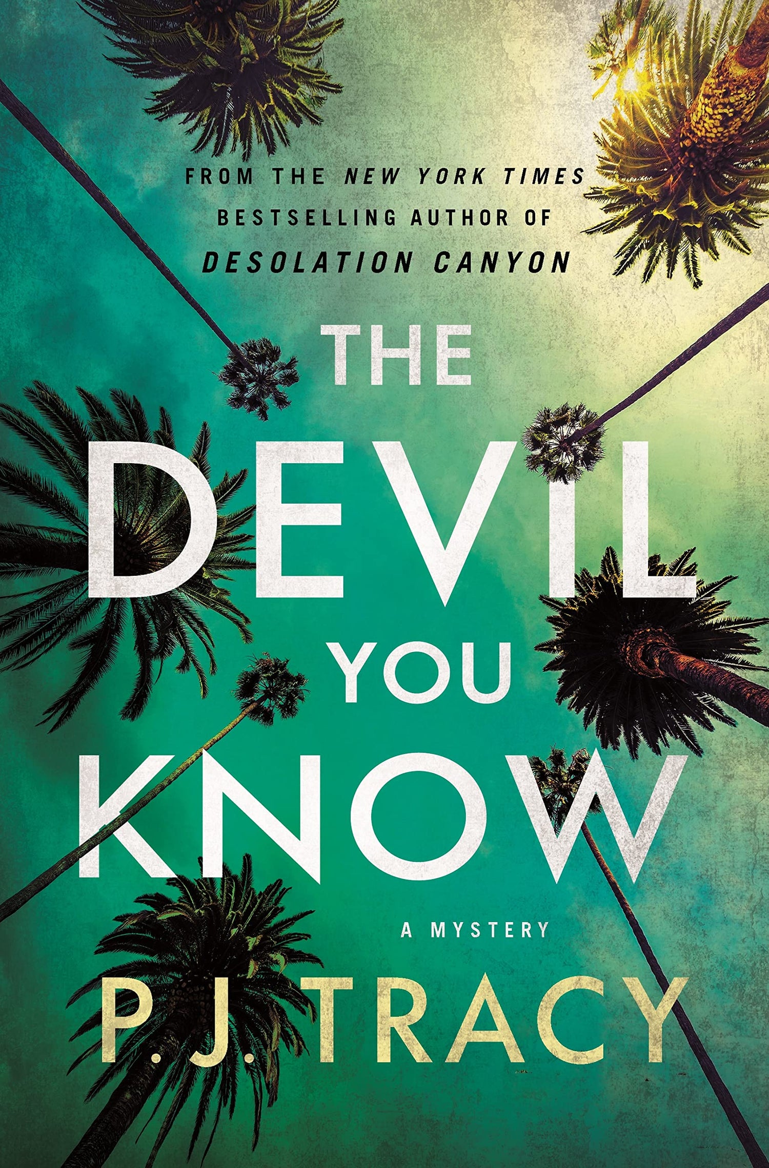 The Devil You Know: A Mystery (The Detective Margaret Nolan Series, 3)