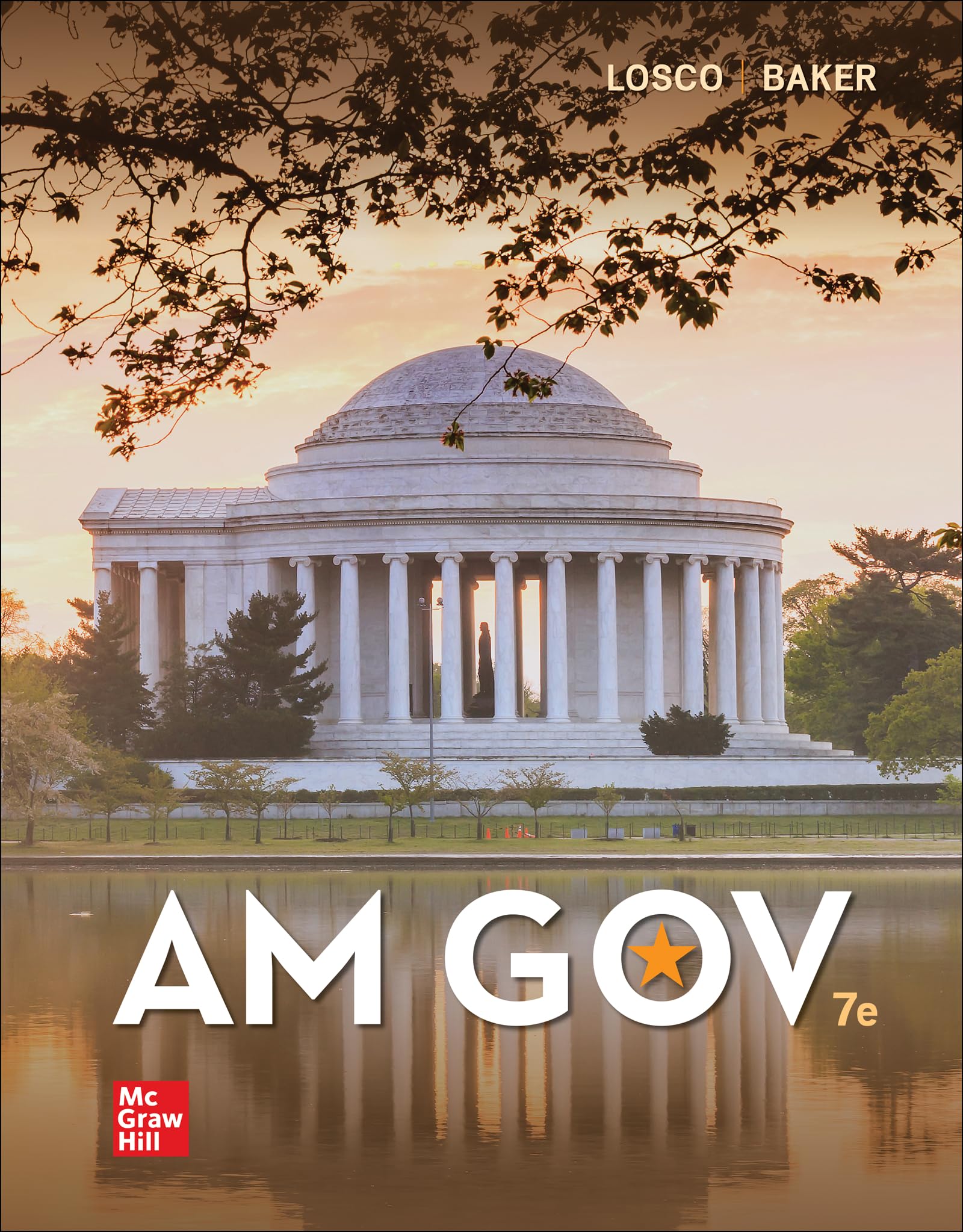 Looseleaf for AM GOV — used book cover