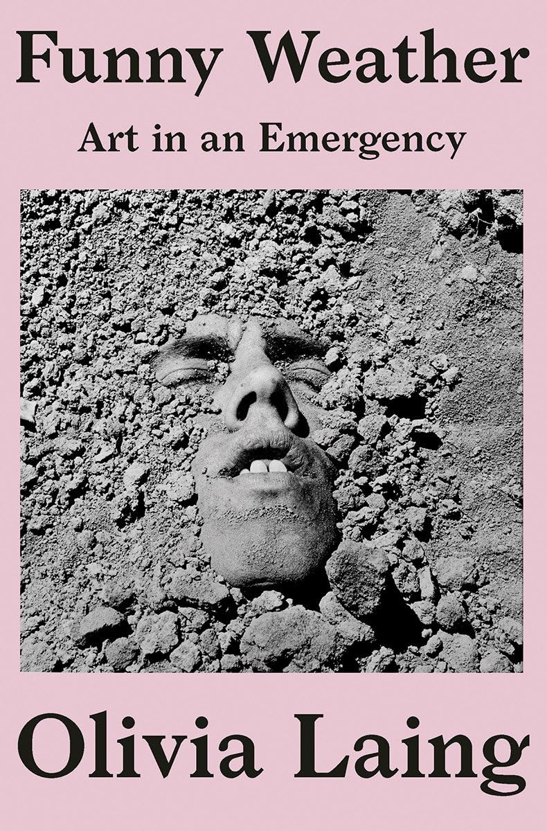 Funny Weather: Art in an Emergency — used book cover