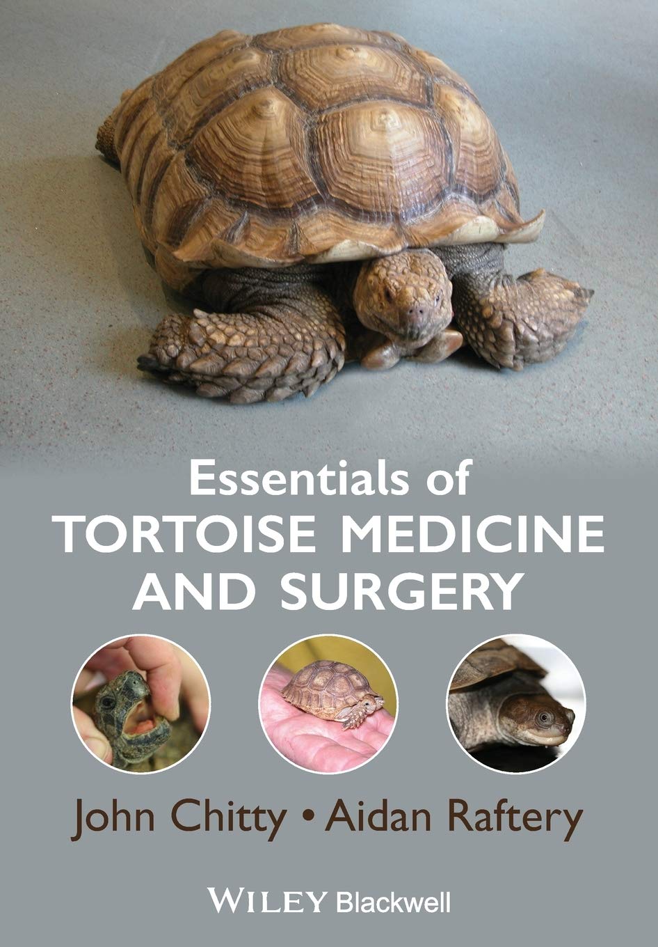 Essentials of Tortoise Medicine and Surgery — used book cover