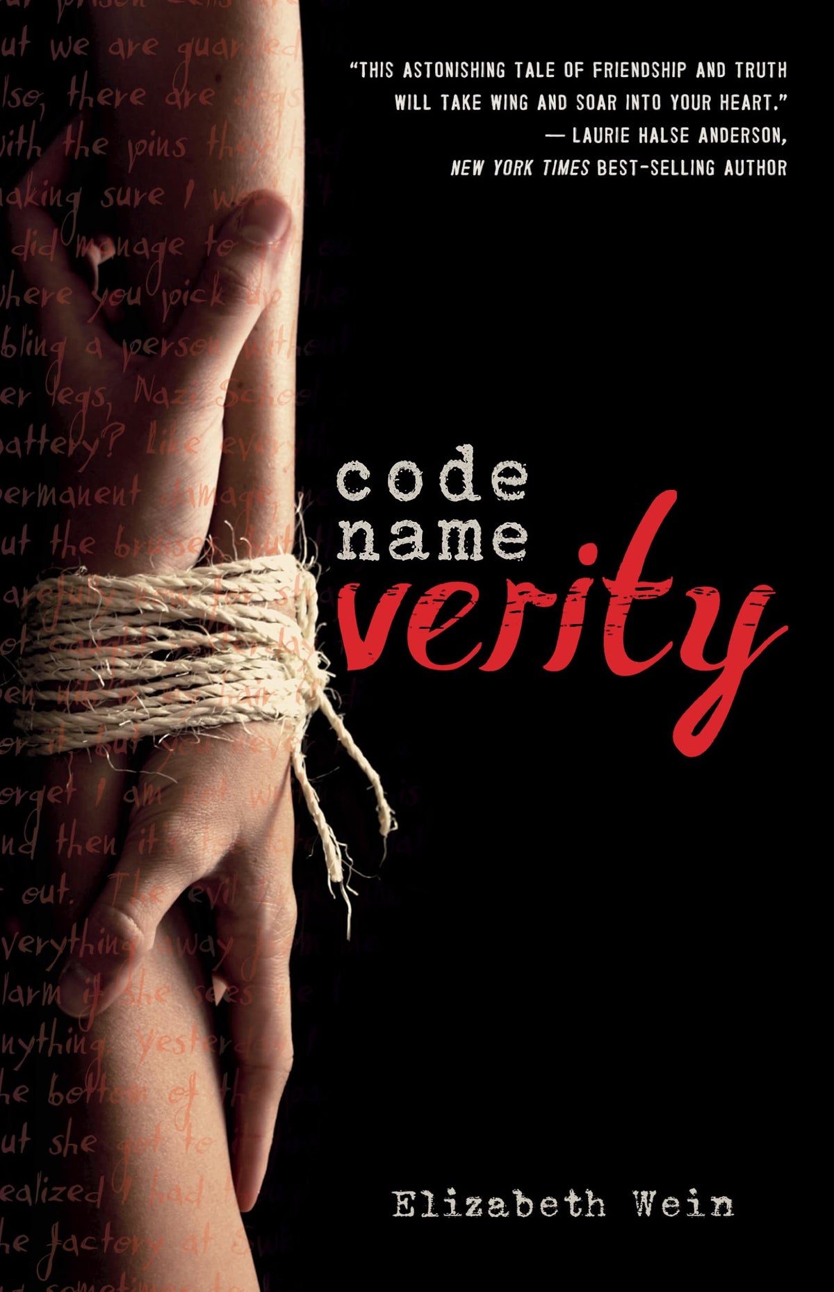Code Name Verity (Thorndike Press Large Print The Literacy Bridge)