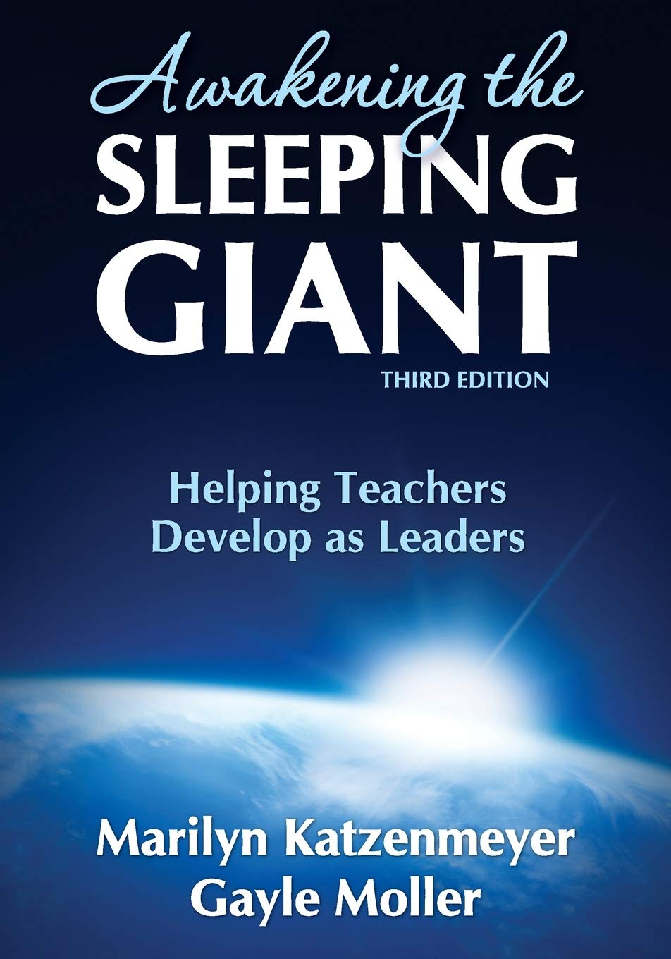 Awakening the Sleeping Giant — used book cover