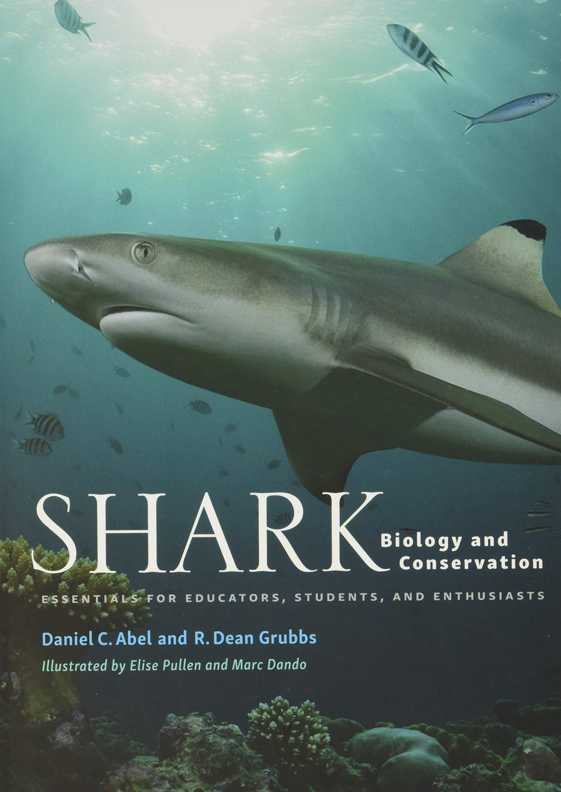 Shark Biology and Conservation — used book cover
