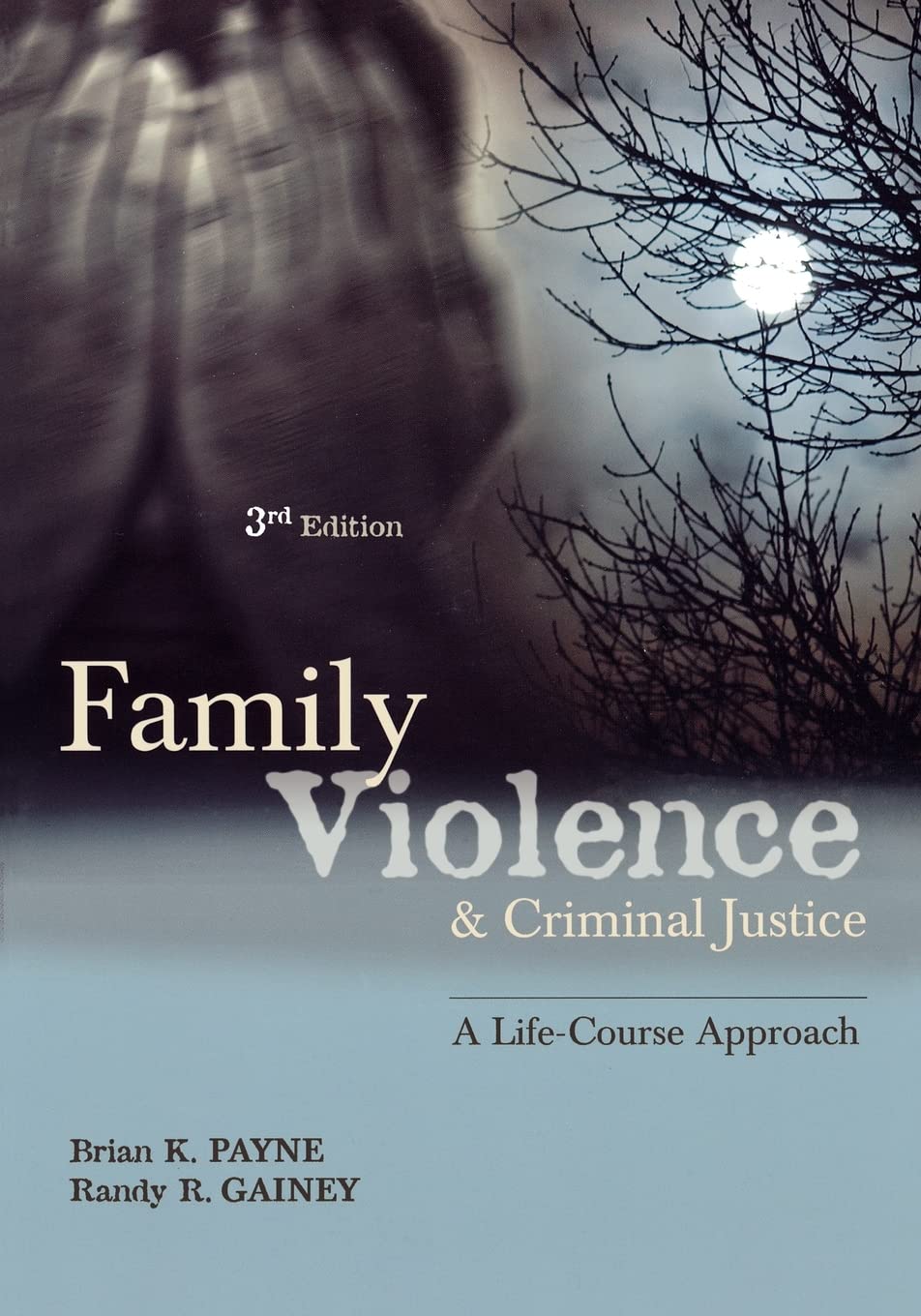 Family Violence and Criminal Justice: A Life-Course Approach