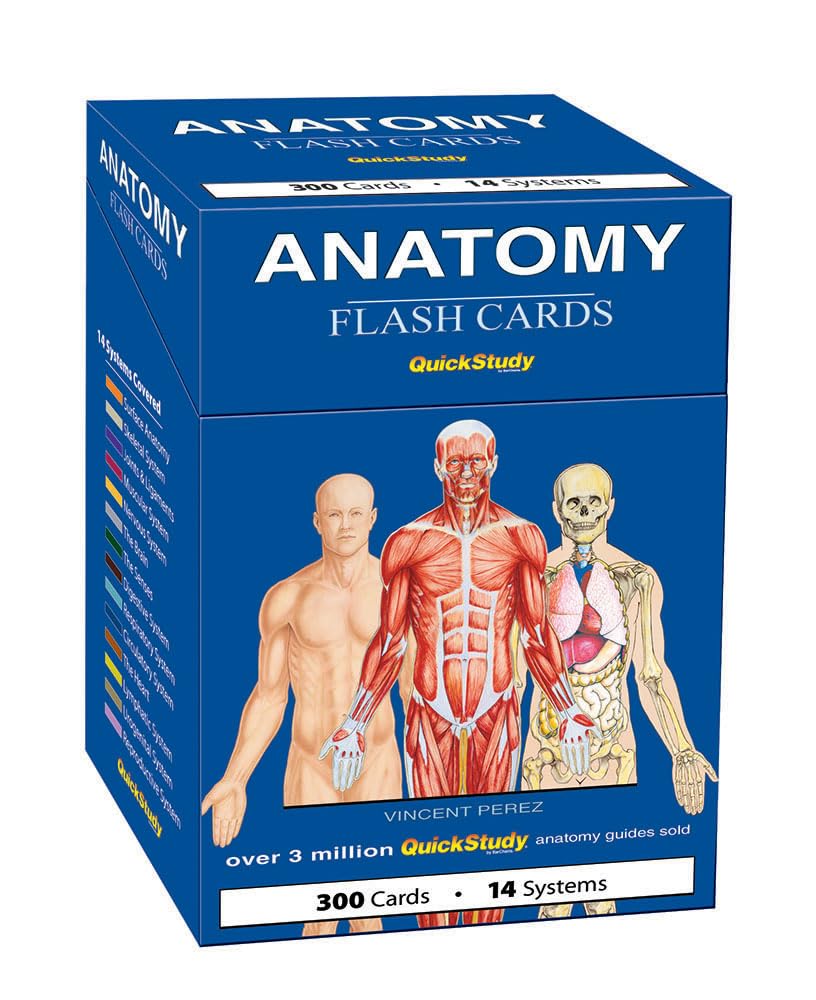 Anatomy Flash Cards: a QuickStudy Reference Tool