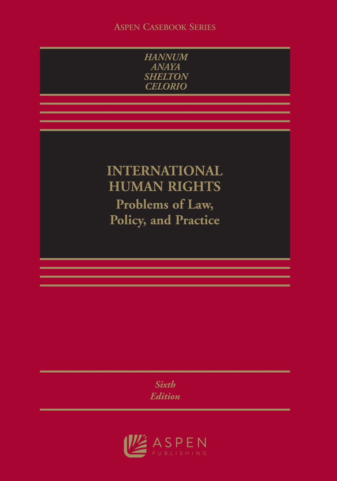 International Human Rights — used book cover