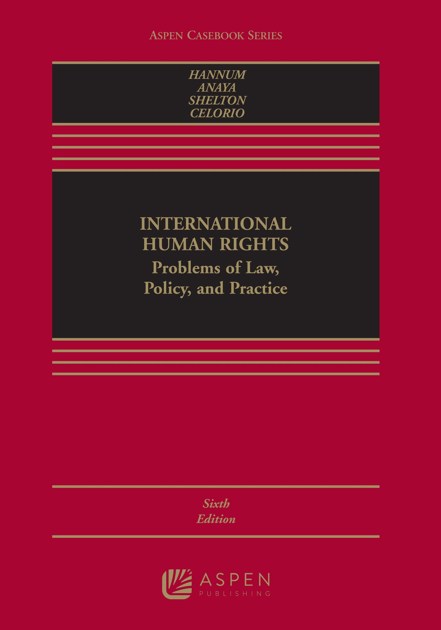 International Human Rights — used book cover