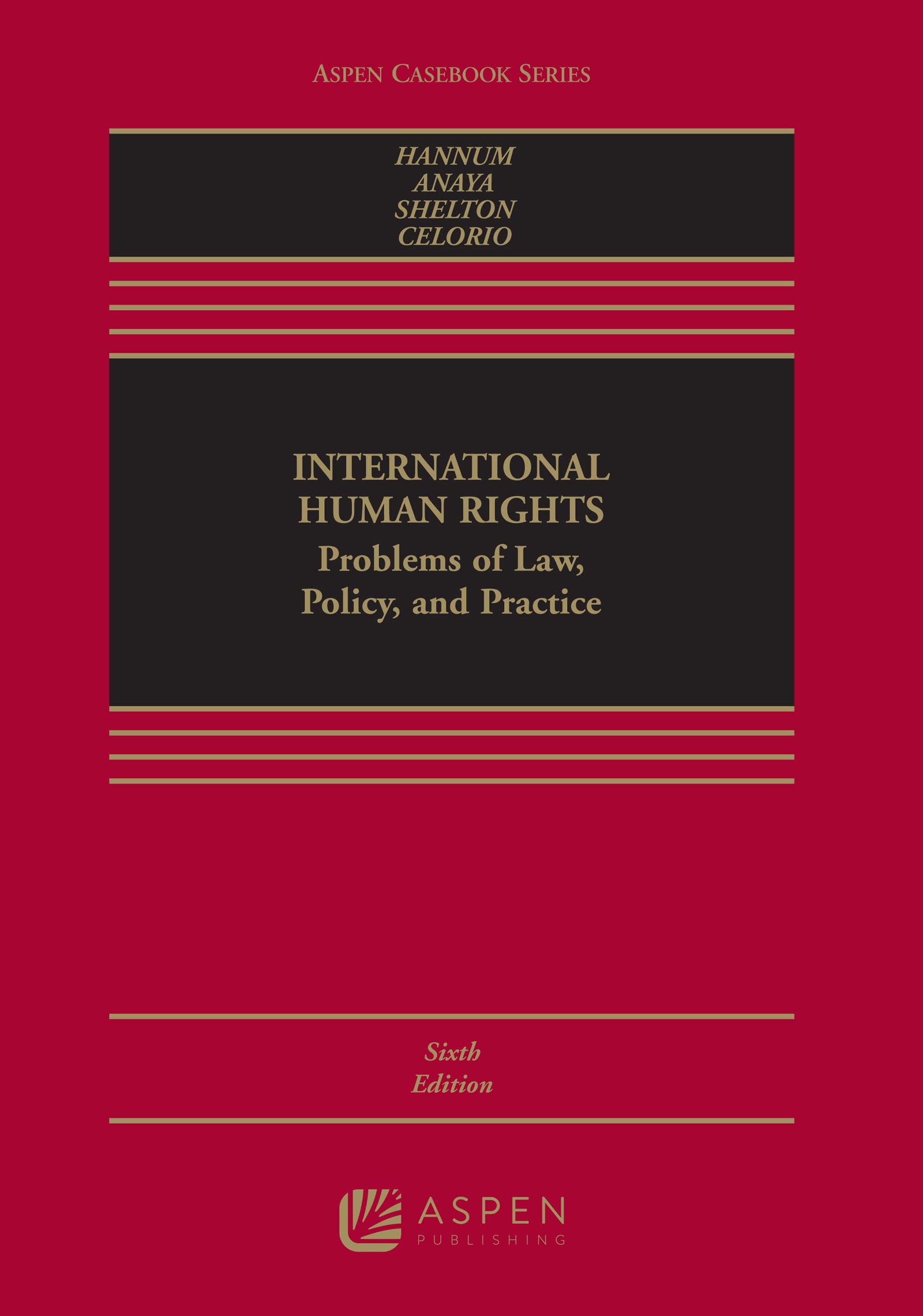 International Human Rights — used book cover