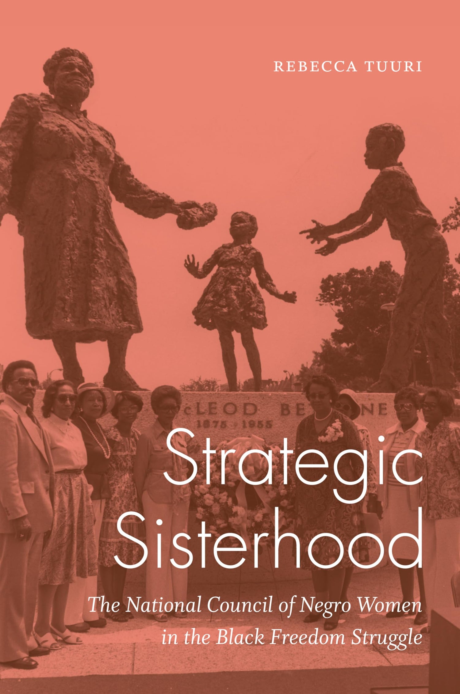Strategic Sisterhood: The National Council of Negro Women in the Black Freedom Struggle — used book cover