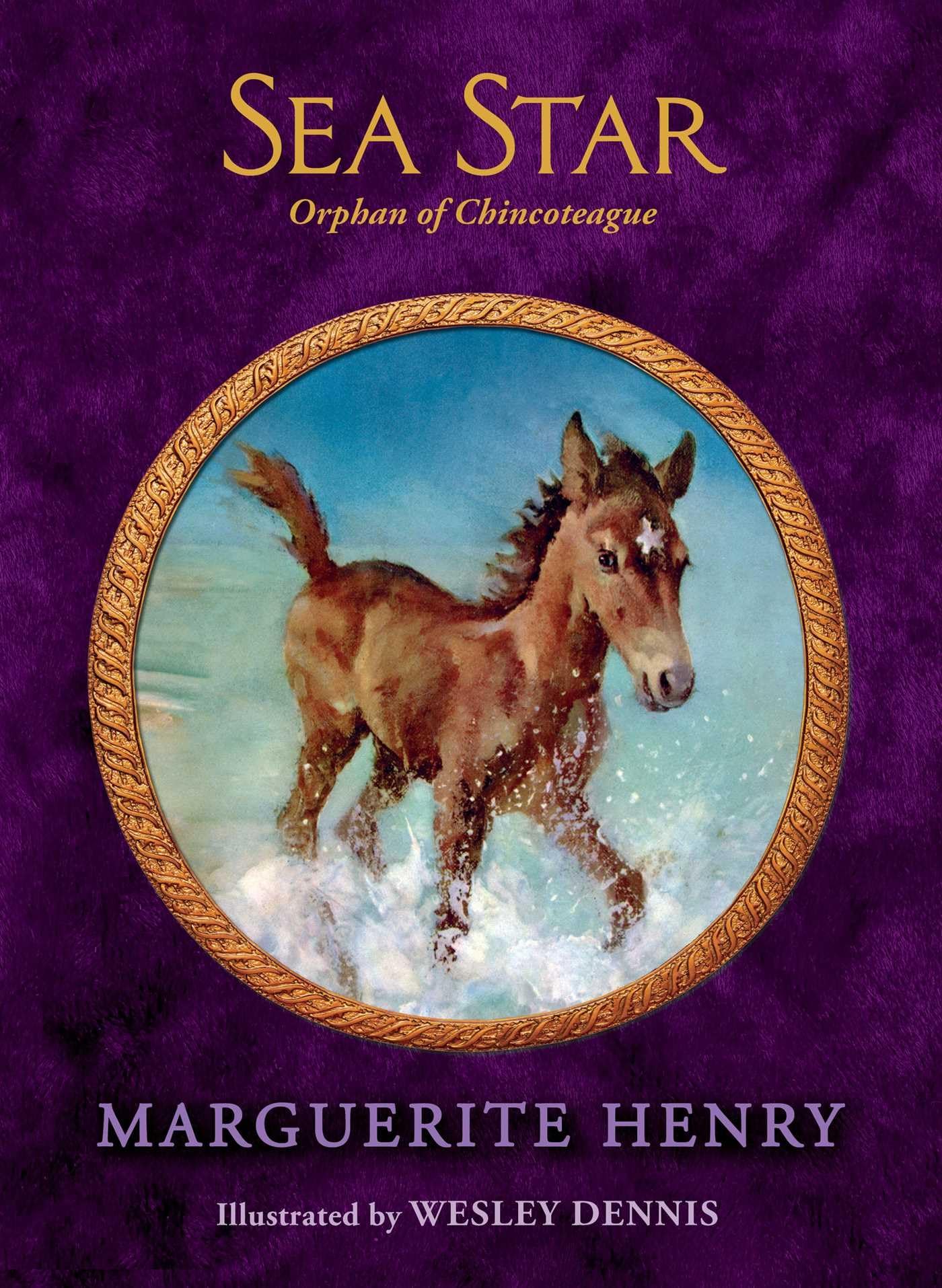 Sea Star: Orphan of Chincoteague — used book cover