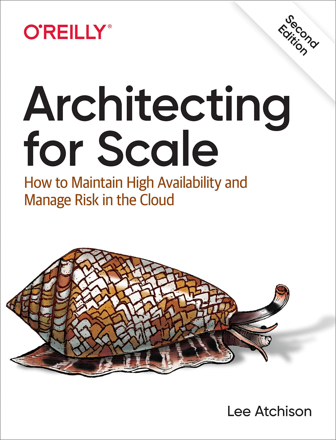 Architecting for Scale — used book cover