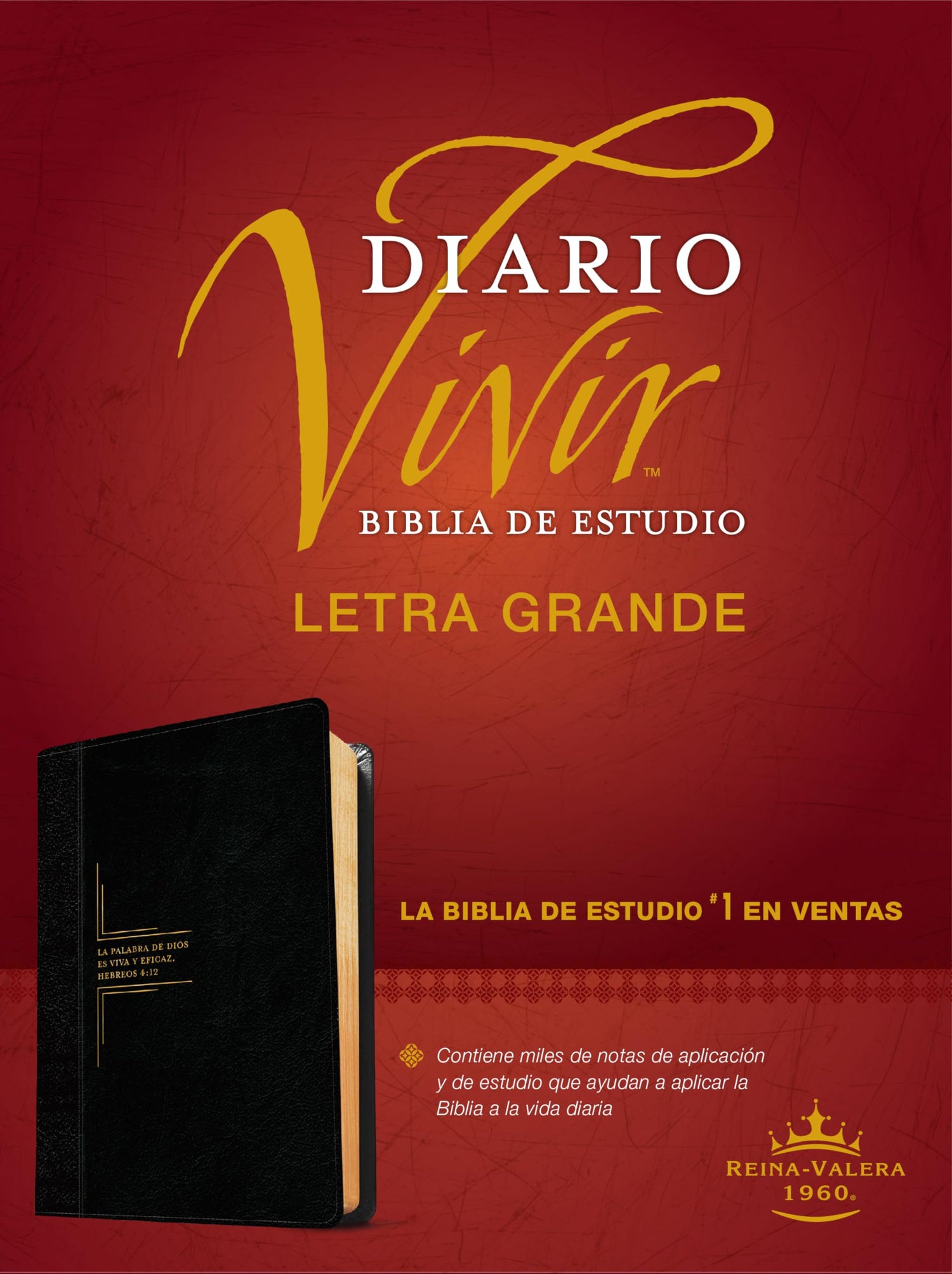 Biblia de estudio del diario vivir RVR60, letra grande (SentiPiel, Negro/Ónice, Letra Roja) — used book cover