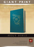 Holy Bible, Giant Print NLT — used book cover