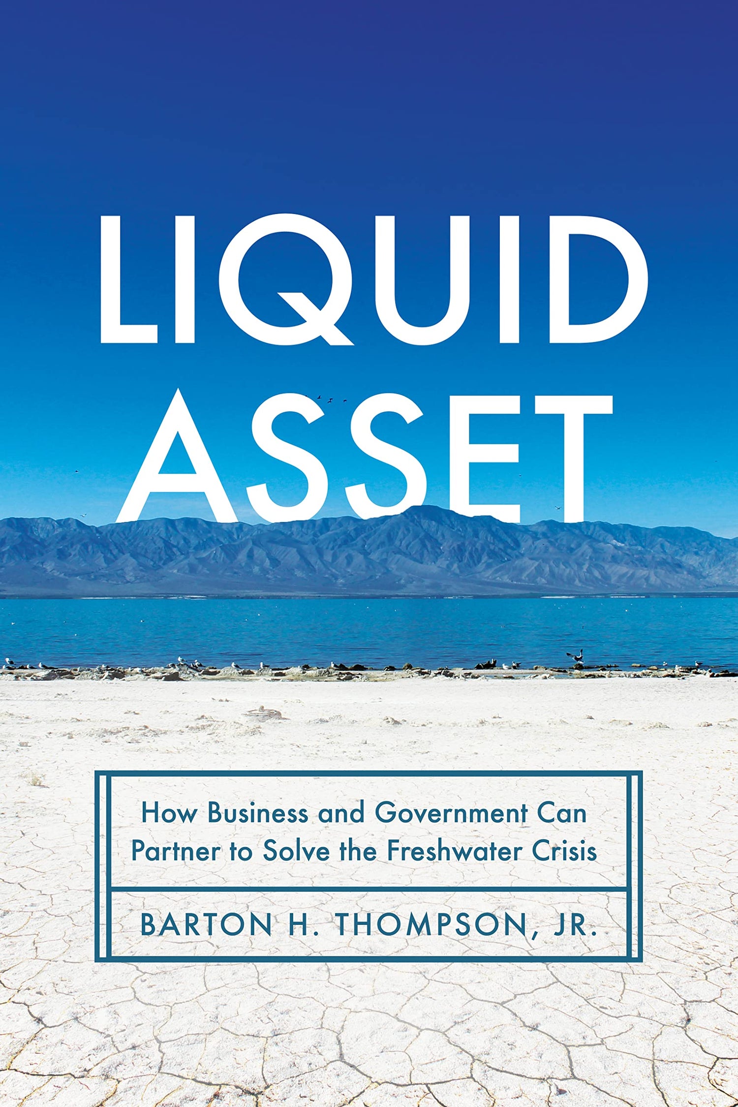 Liquid Asset: How Business and Government Can Partner to Solve the Freshwater Crisis — used book cover
