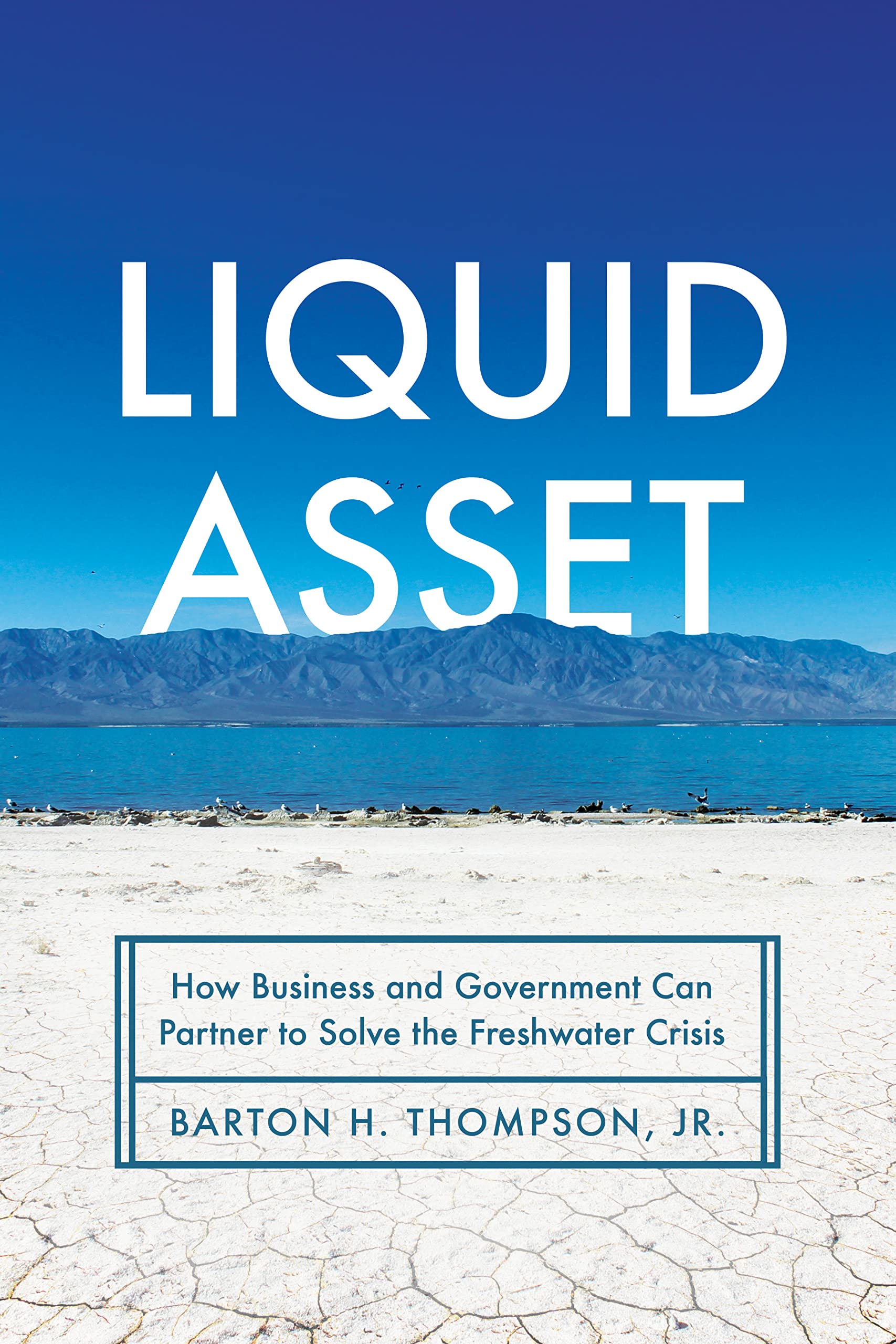 Liquid Asset: How Business and Government Can Partner to Solve the Freshwater Crisis — used book cover