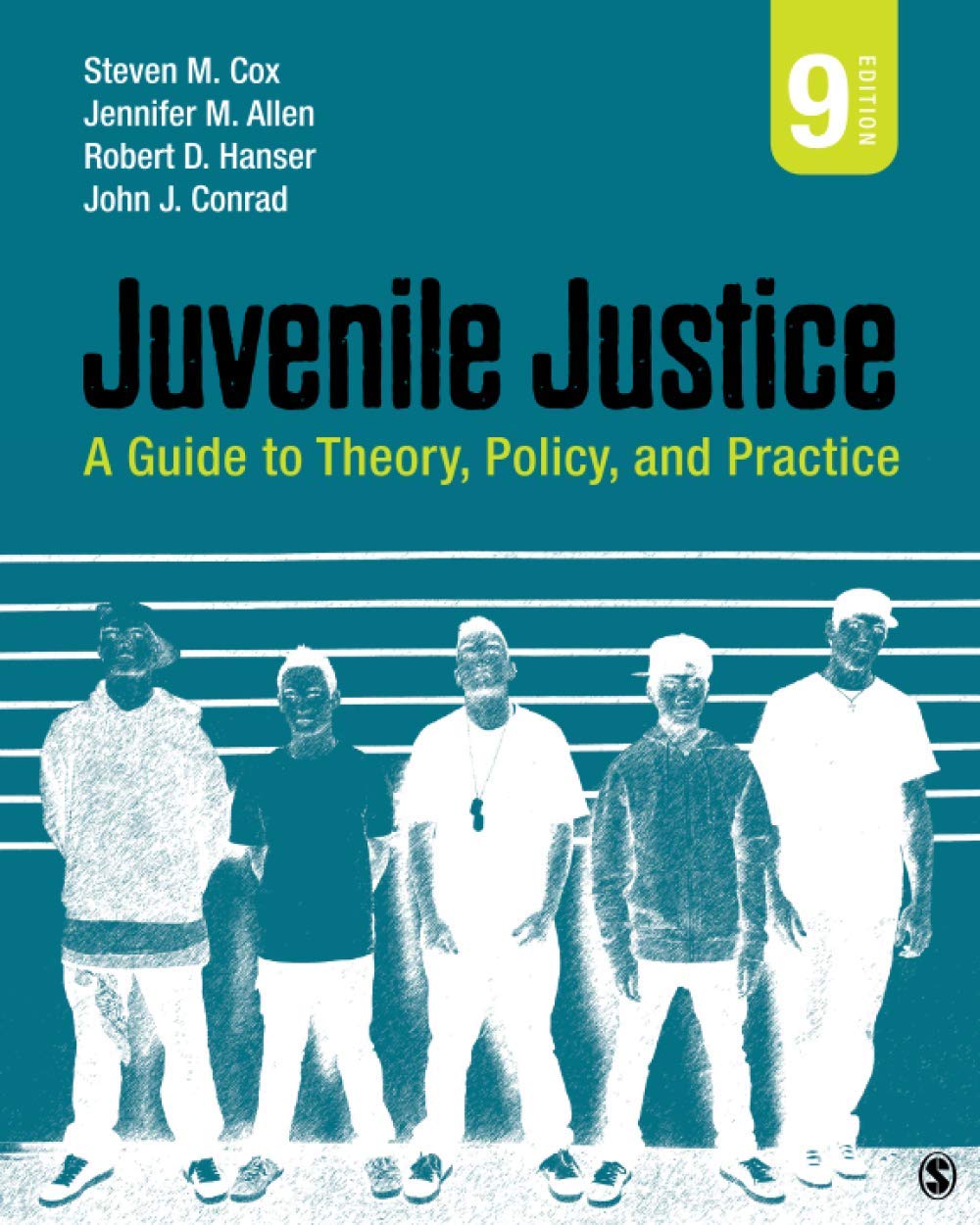 Juvenile Justice: A Guide to Theory, Policy, and Practice — used book cover
