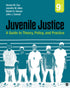Juvenile Justice: A Guide to Theory, Policy, and Practice — used book cover