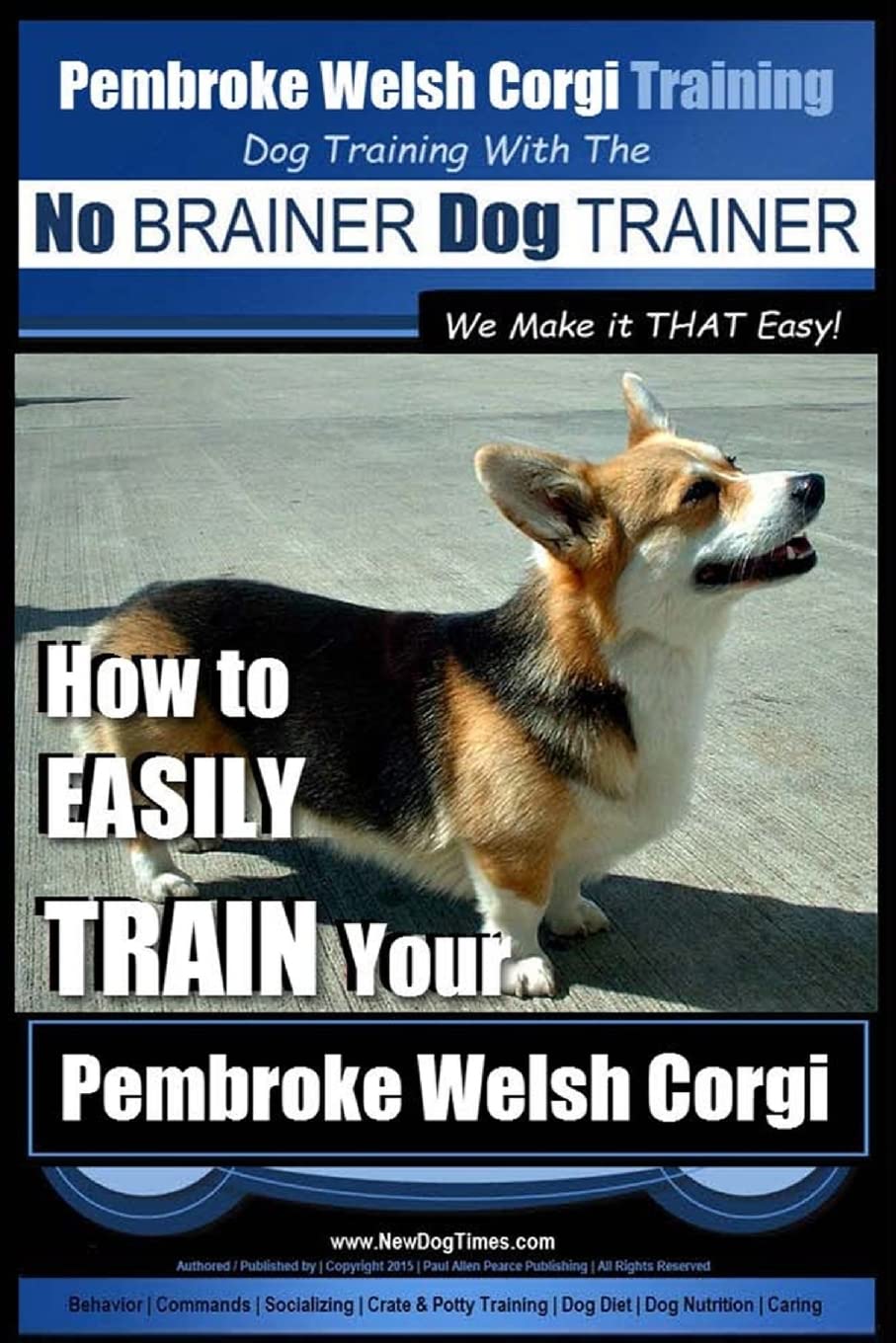Pembroke Welsh Corgi Training | Dog Training with the No BRAINER Dog TRAINER ~ We make it THAT Easy!: How to EASILY TRAIN Your Pembroke Welsh Cogri