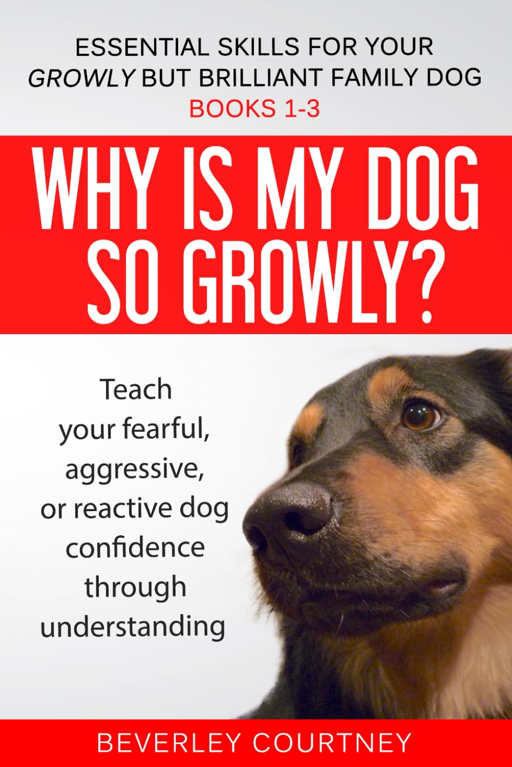 Essential Skills for your Growly but Brilliant Family Dog — used book cover