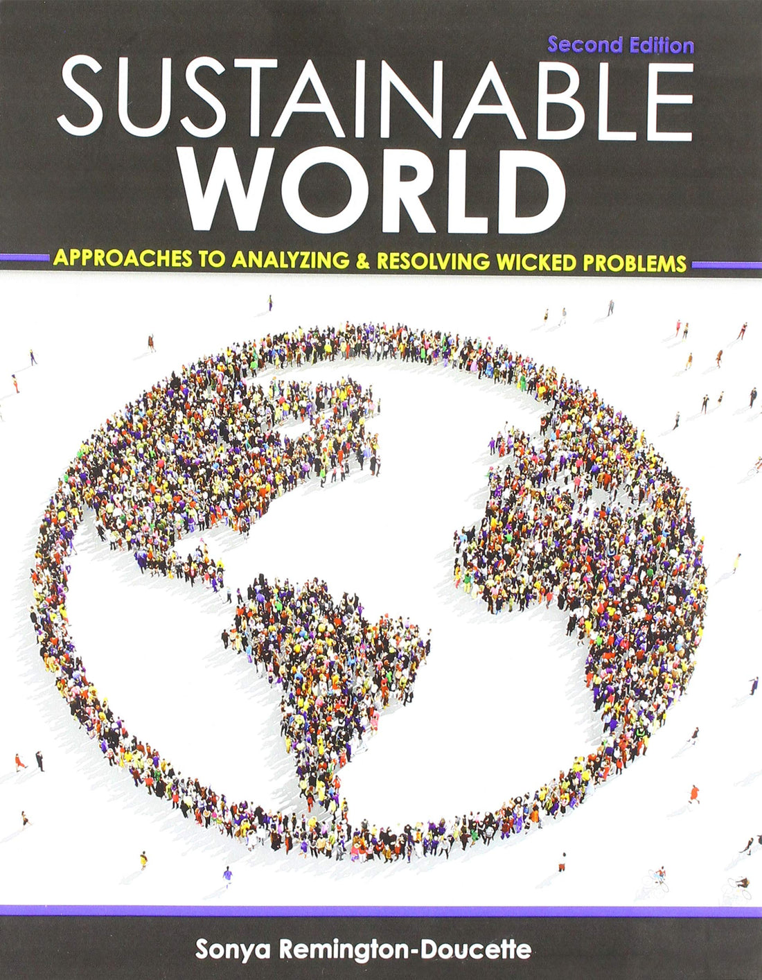 Sustainable World: Approaches to Analyzing and Resolving Wicked Problems — used book cover
