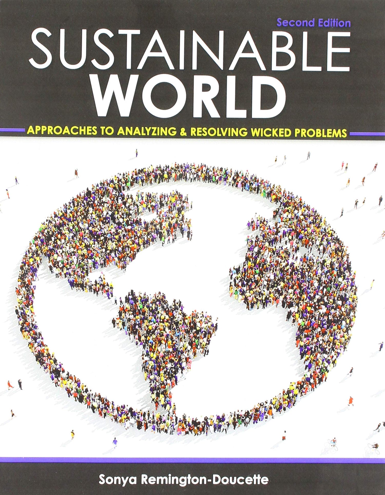 Sustainable World: Approaches to Analyzing and Resolving Wicked Problems — used book cover